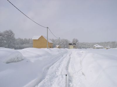 0005.jpg 0005.jpg